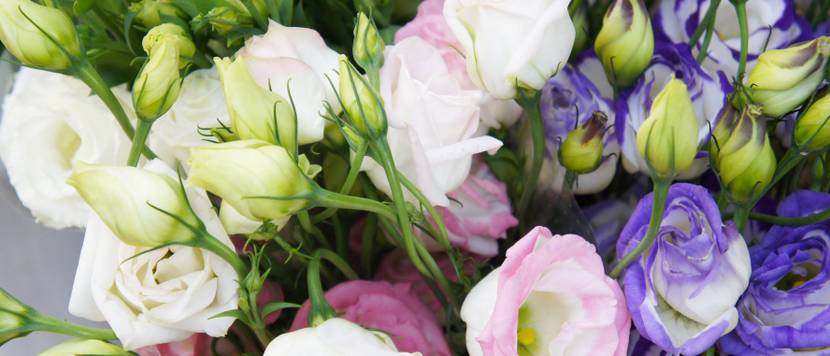 lisianthus als schnittblume im blumenstrauss