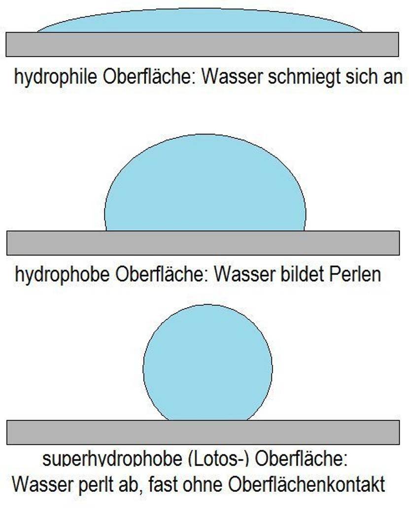 Lotoseffekt