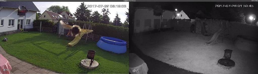 lupus-smarthome-tag-und-nacht