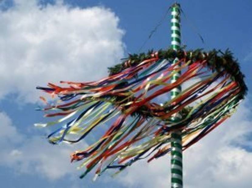 Maibaum wird durchs Dorf getragen