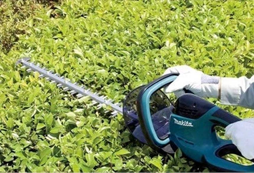 Makita AkkuHeckenschere im Test & Vergleich 2 klare Sieger