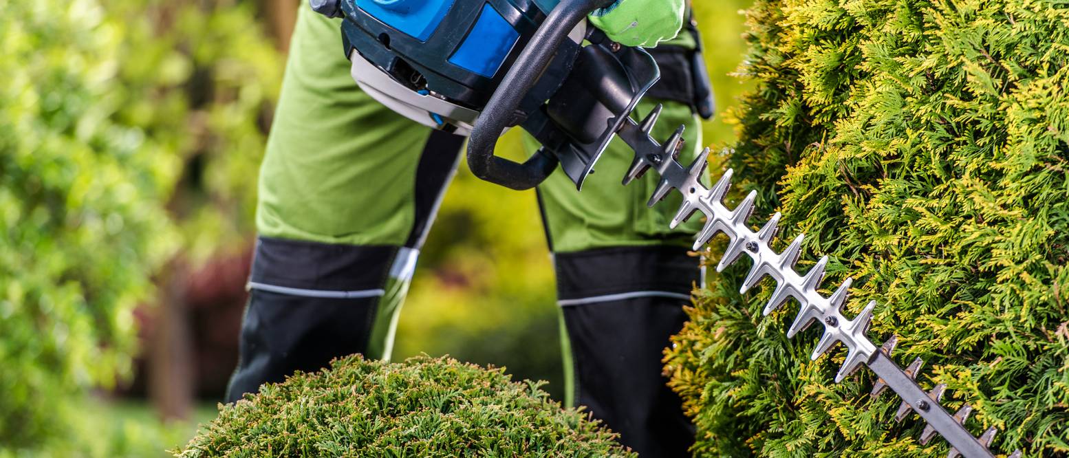 Makita AkkuHeckenschere im Test & Vergleich 2 klare Sieger
