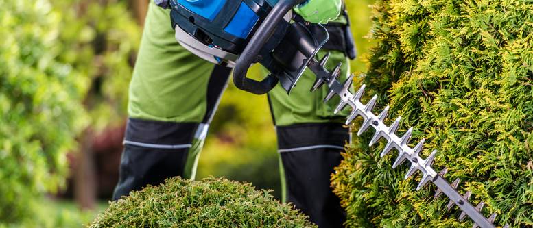 Makita AkkuHeckenschere im Test & Vergleich 2 klare Sieger