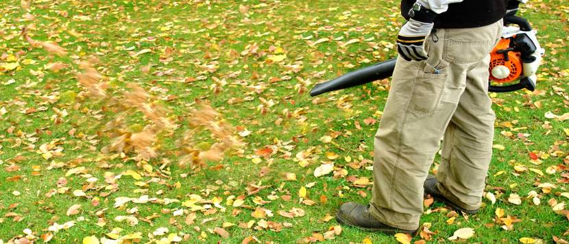mann mit stihl-laubblaeser