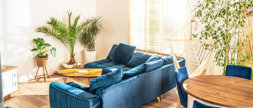 wohnzimmer mit blauem sofa und zimmerpflanzen im mediterranen stil