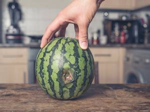 faulende melone