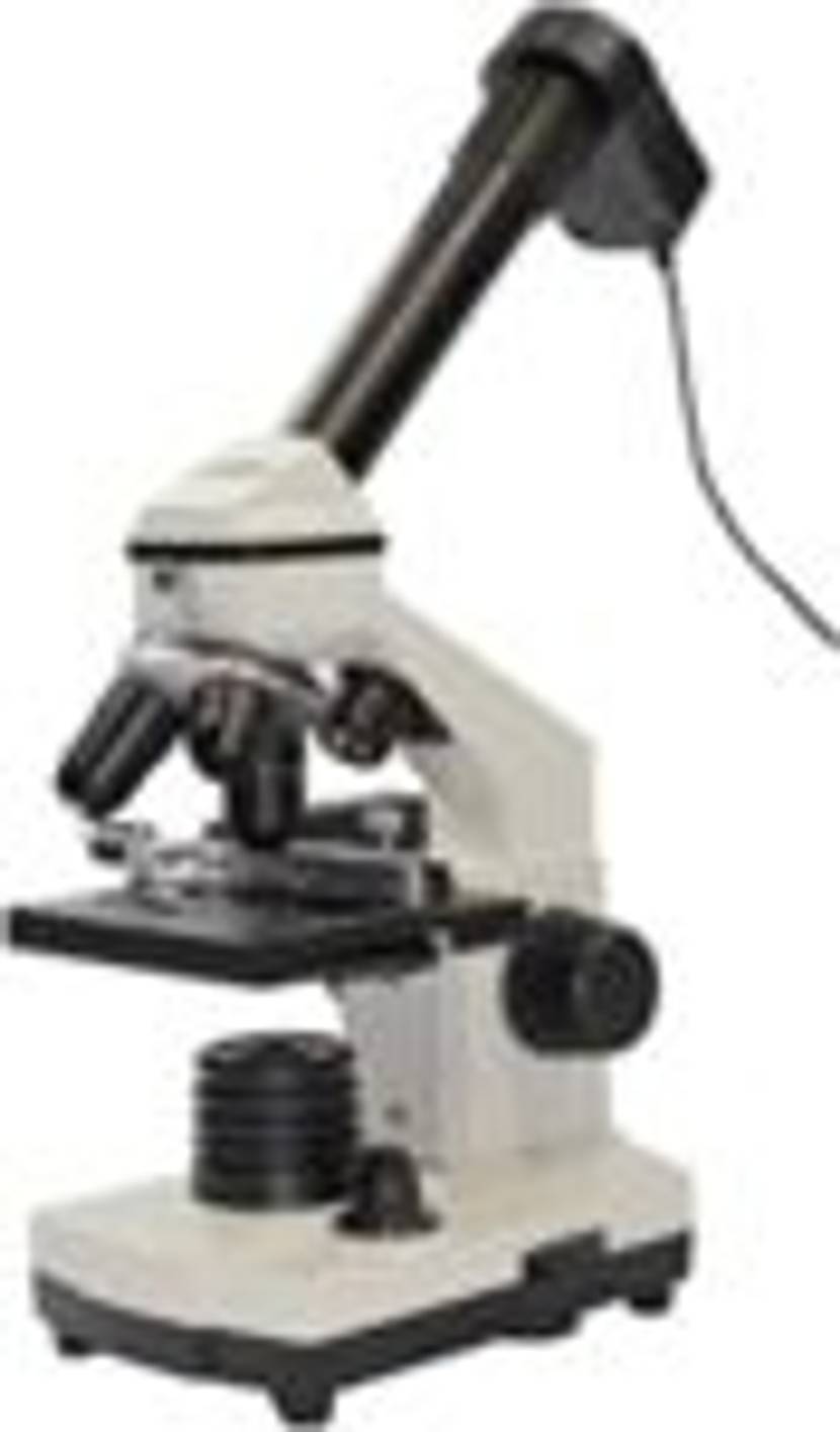 mikroskop-aufbau