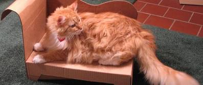 Moebel aus pappe intro 7c7a4220f7