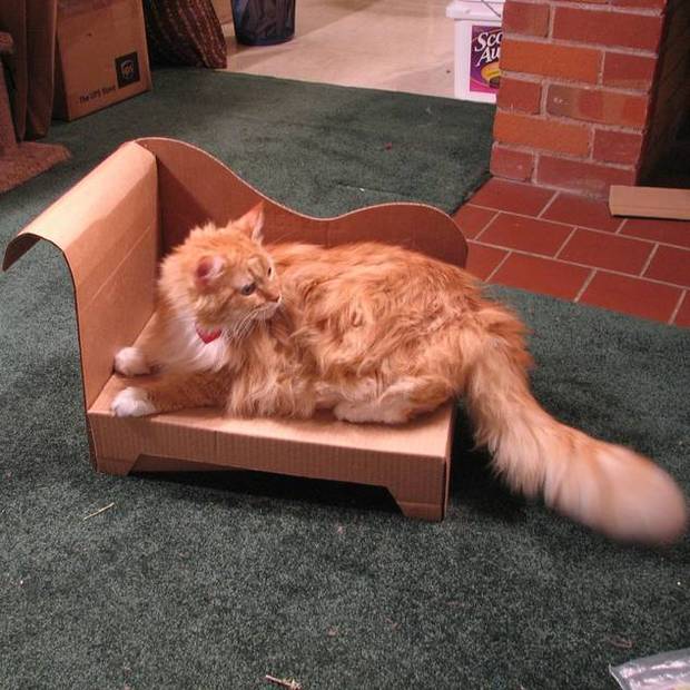 Möbel aus Pappe basteln - heimwerker.de