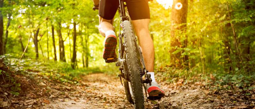 mountainbiker im gelaende