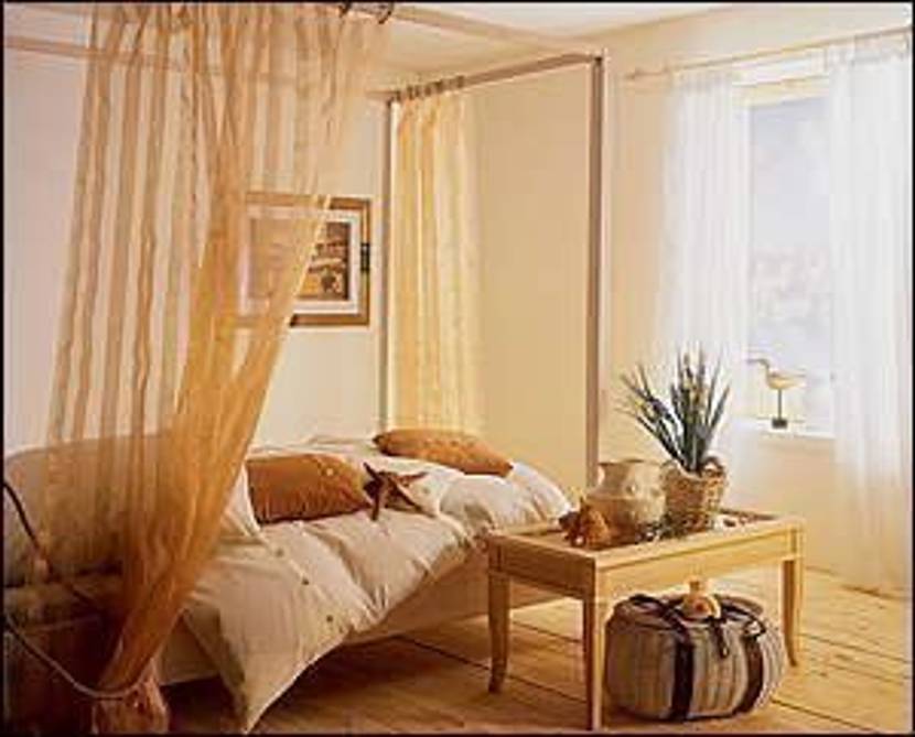 muschel-ambiente-2