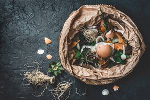 biomuell in einer tuete bereit zum kompostieren