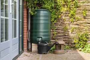 sammeln von regenwasser in regentonne