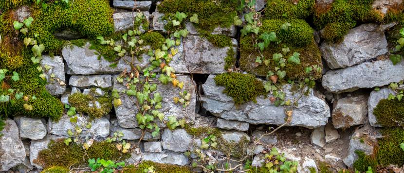 groessere steine und grobe bauart fuer einen natuerlichen look der natursteinmauer