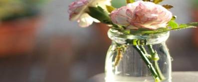 Nelke im glas jpg
