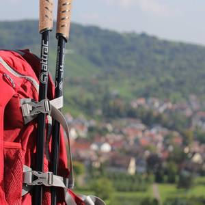 Nordic Walking Stöcke Schaft