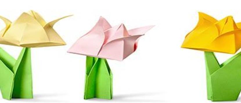 Origami