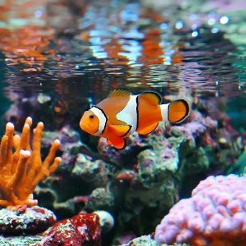 osmoseanlage-im-aquarium