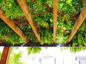pergola-holz