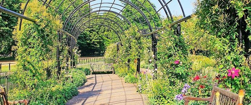 pergola-metall