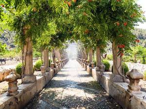 pergola-steinsaeulen