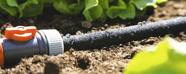 Gartenschlauch im Test & Vergleich 2 klare Sieger! heimwerker.de