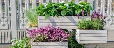 Pflanzkasten selber bauen