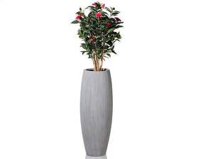 pflanzkuebel-aus-kunststoff-rose