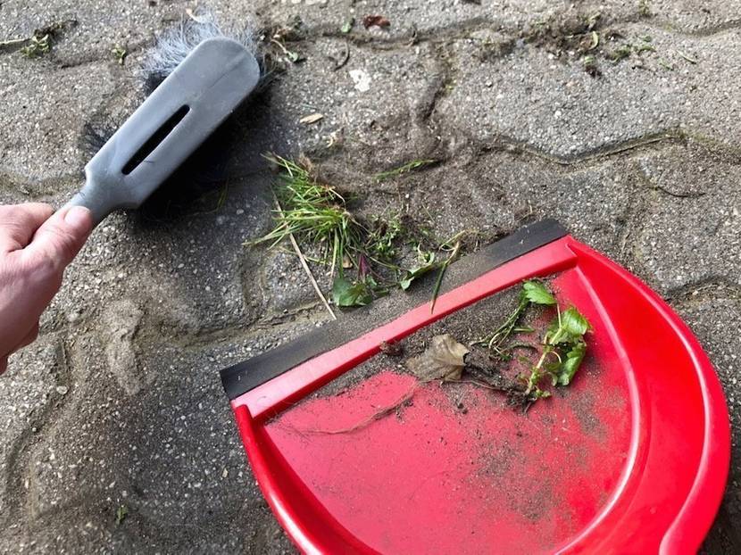 Pflasterfugen zu reinigen ist mühsam
