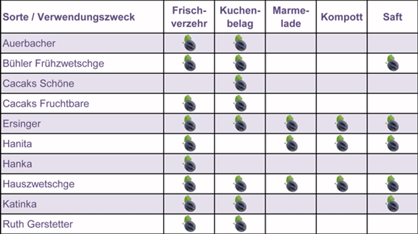 Tabellen mit verschiedenen Pflaumen und Zwetschgen.