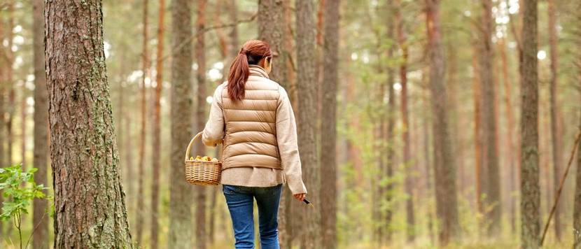 junge frau sammelt pilze im wald