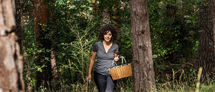 junge frau sucht pilze im wald