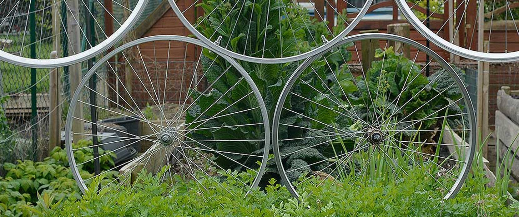 Rankhilfen für den Garten Rankgitter selber bauen heimwerker.de