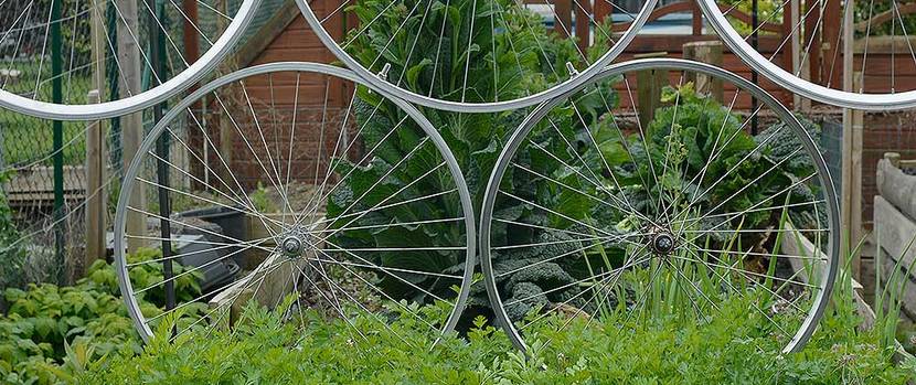rankgitter-selber-bauen-recycling-fahrradfelgen
