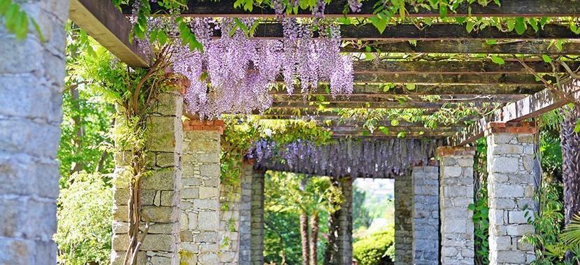 rankhilfe-pergola