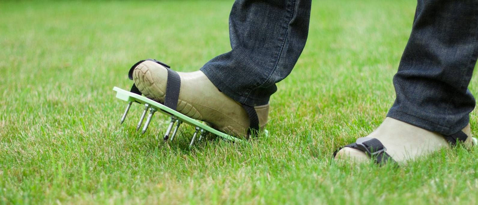 Rasen aerifizieren Anleitung und Tipps zum Rasen lüften heimwerker.de