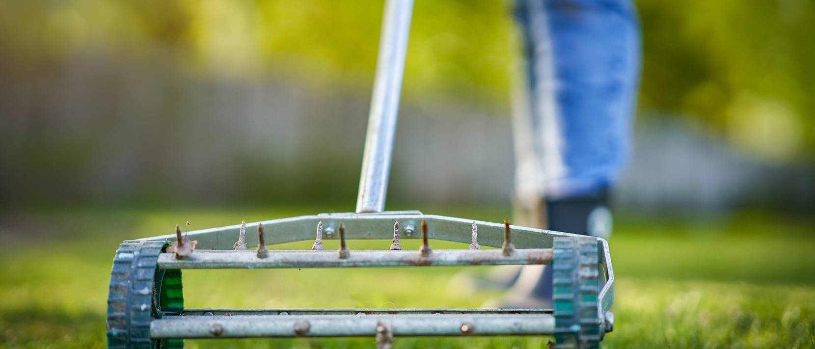 41+ Rasen Lüften Herbst, Durch sogenanntes aerifizieren wird der