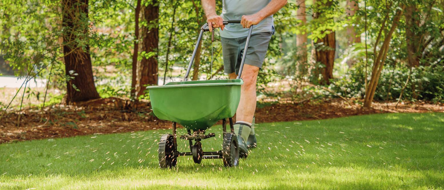 Düngen im Herbst 5 Tipps für eine sinnvolle RasenDüngung