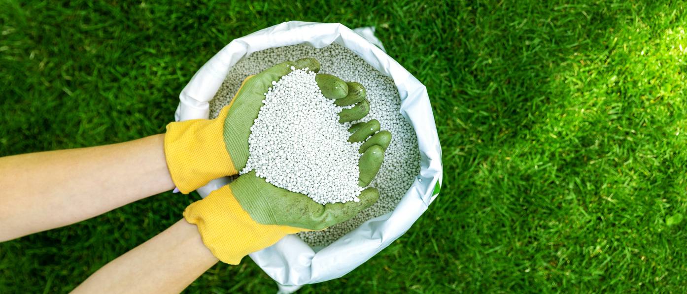 Düngen im Herbst 5 Tipps für eine sinnvolle RasenDüngung