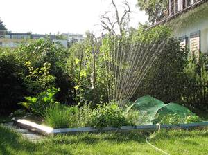 rasen-pflege-rasensprenger
