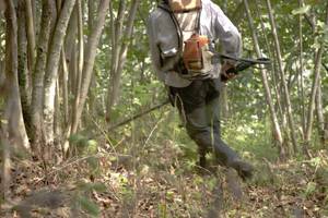rasentrimmer im wald