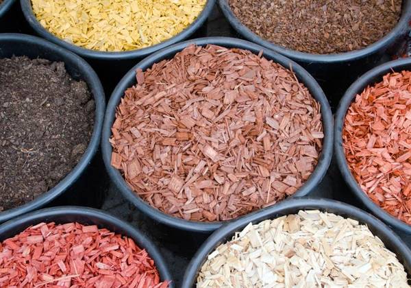 Rindenmulch im Test & Vergleich 2 klare Sieger! heimwerker.de