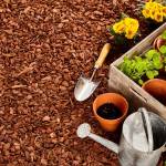 rindenmulch-spielplatz
