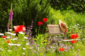 romantischer-garten-mohnblumen-um-stuhl