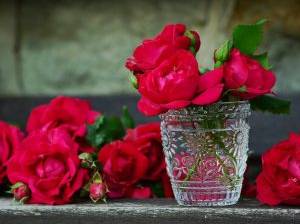 Rosen als Schnittblumen
