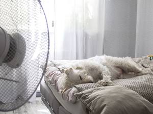 ventilator im schlafzimmer