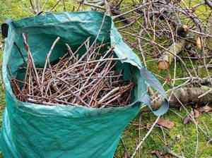 sack-mit-aesten