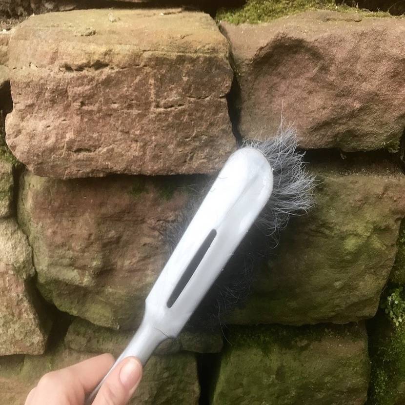 Losen Schmutz mit Besen oder handfeger abkehren.