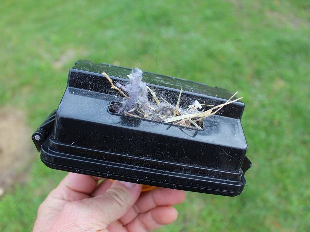 Volle Staubbox im Saugroboter