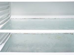 schimmel im kühlschrank